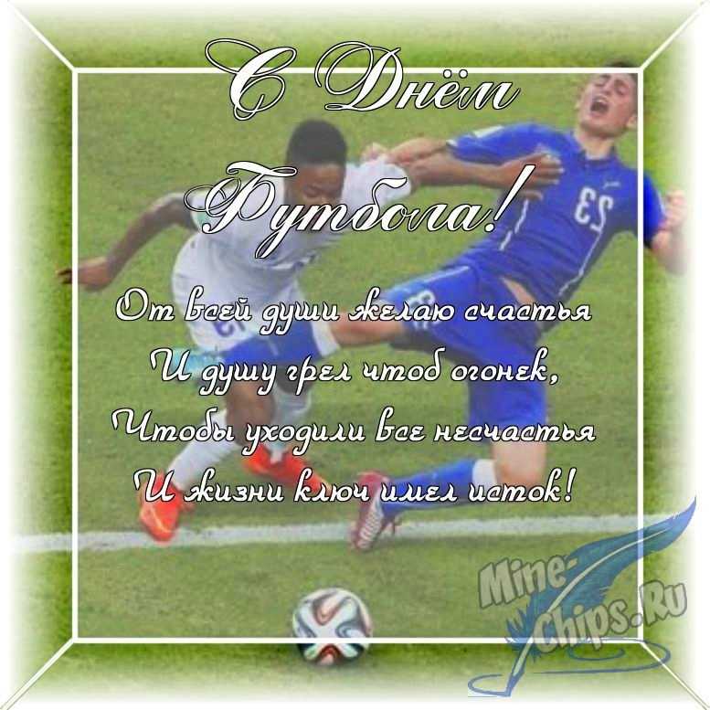 Оригинальное изображение в прозе ко дню футбола в цветочной рамке