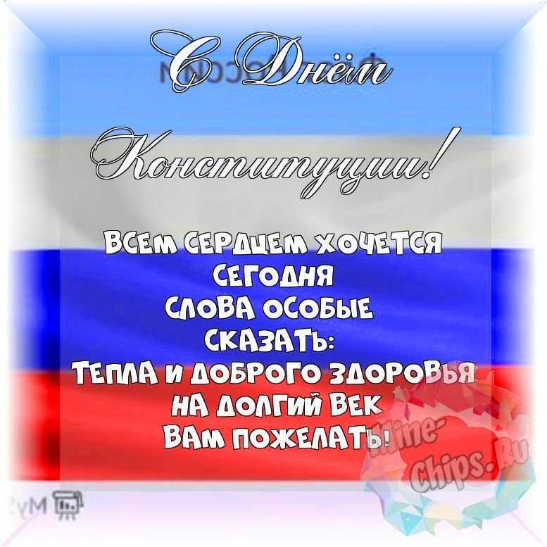Весёлая и красивая картинка в день Конституции РФ