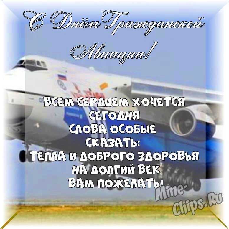 Весёлая картинка в день гражданской авиации России