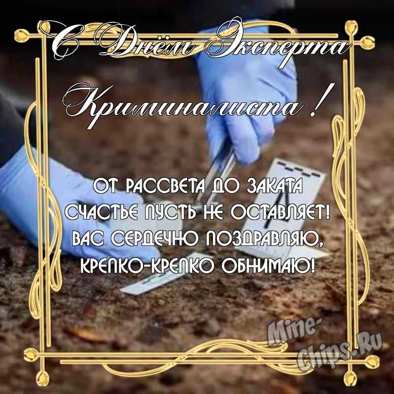 Бесплатно скачать или отправить картинку в день эксперта-криминалиста МВД своими словами