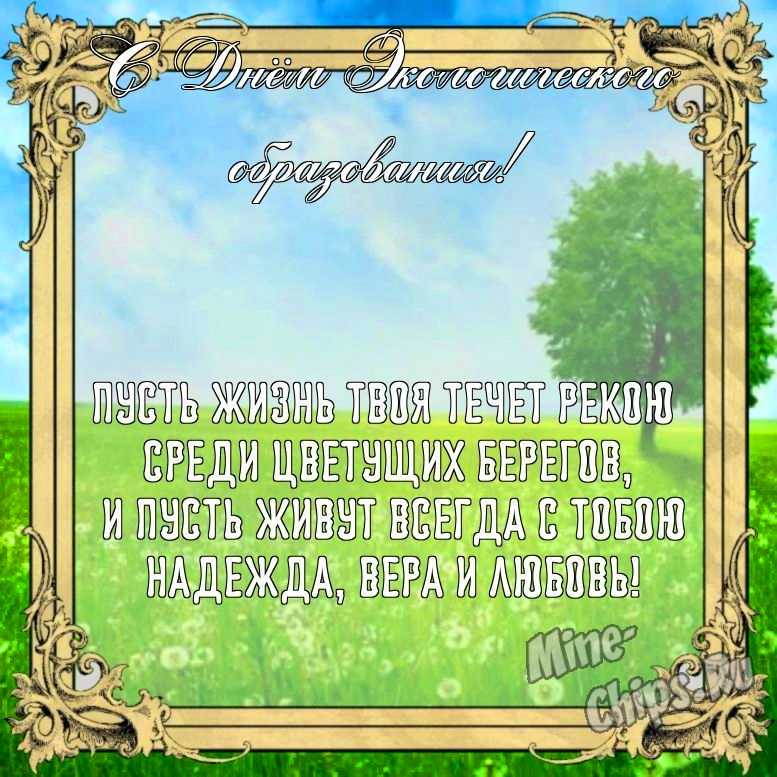 Бесплатно сохранить смешную картинку на день экологического образования 