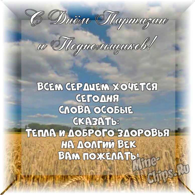 Весёлая картинка в день партизан и подпольщиков