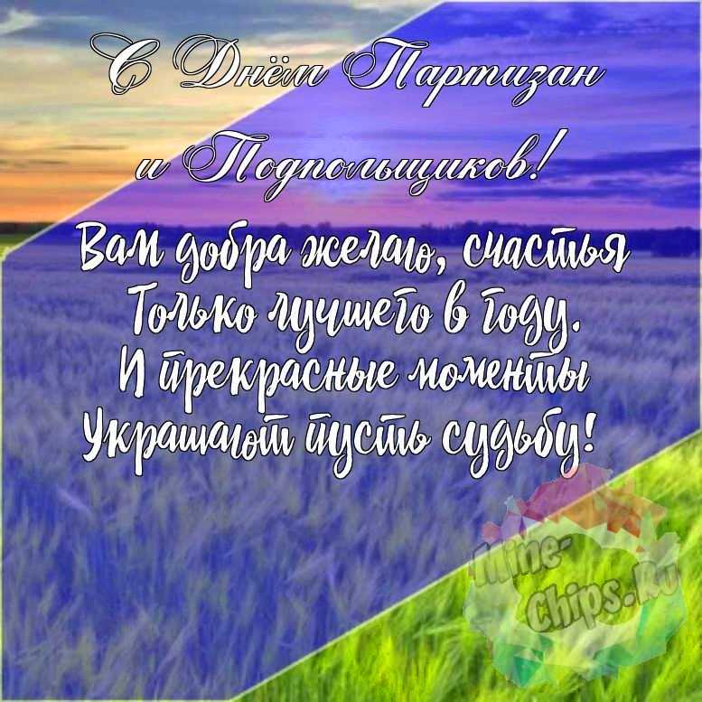 Подарить красивую открытку с днем партизан и подпольщиков онлайн