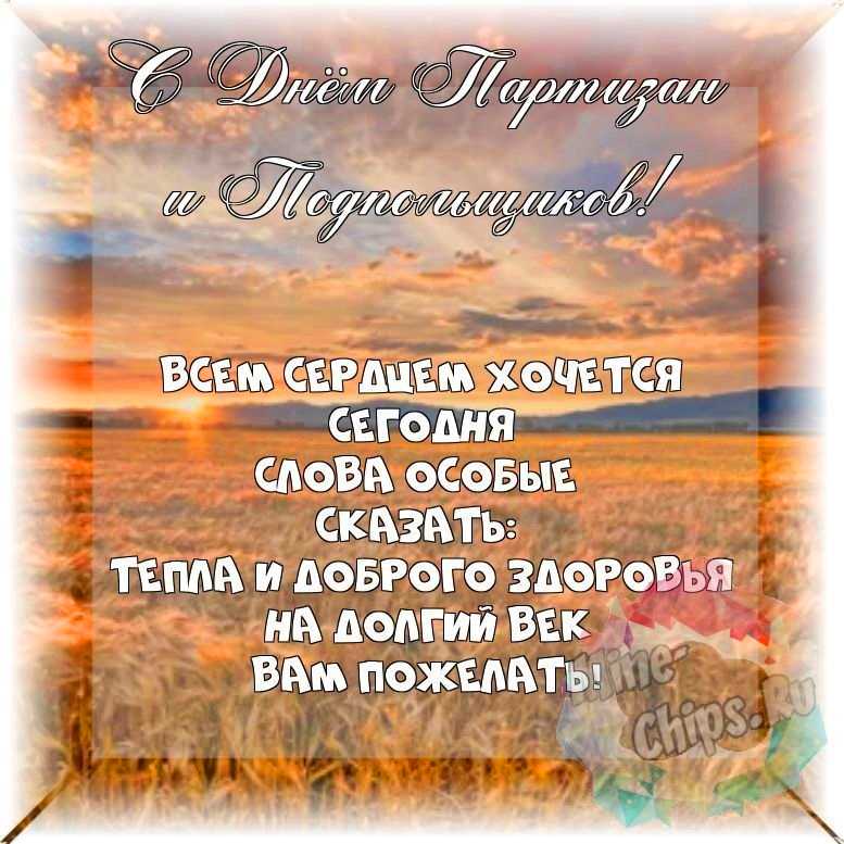 Весёлая и красивая картинка в день партизан и подпольщиков