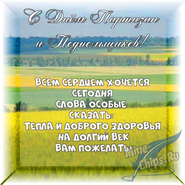 Весёлый текст в прозе в день партизан и подпольщиков