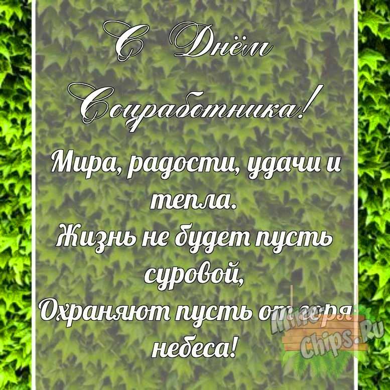 Поздравительная картинка своими словами с днем соцработника