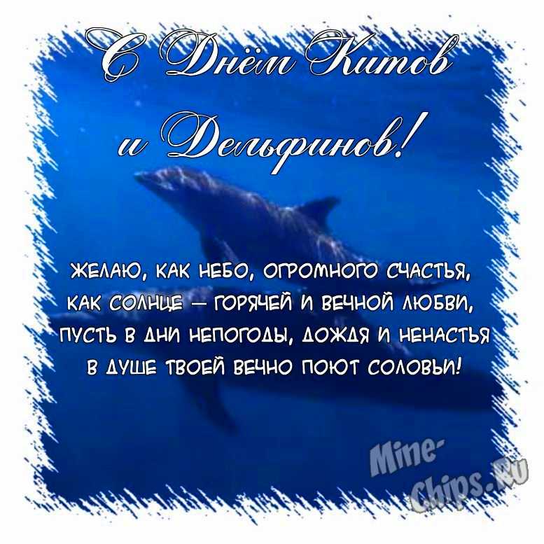 Поздравить открыткой со стихами на день китов и дельфинов