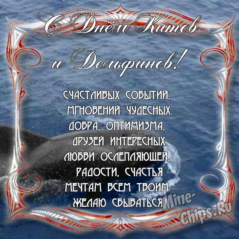 Поздравить с днем китов и дельфинов в Вацап или Вайбер