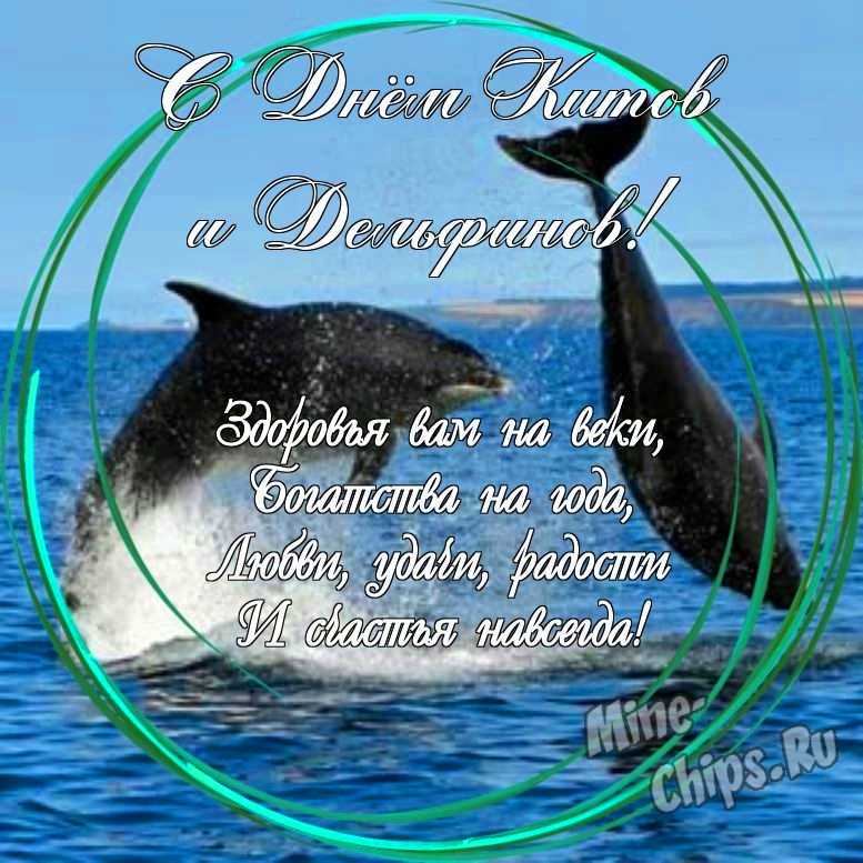 Праздничная открытка с днем китов и дельфинов
