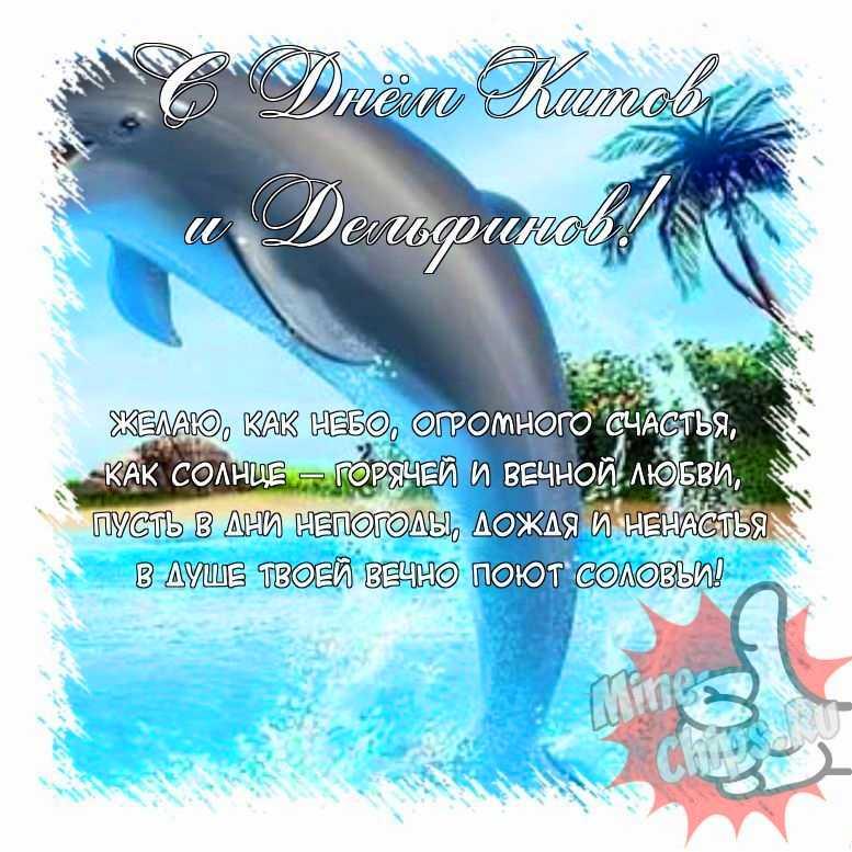Поздравить открыткой с прикольными стихами на день китов и дельфинов 