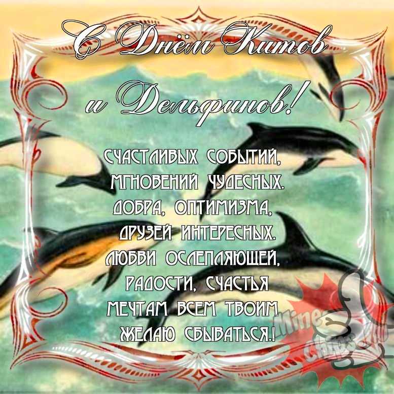 Прикольно поздравить с днем китов и дельфинов в Вацап или Вайбер