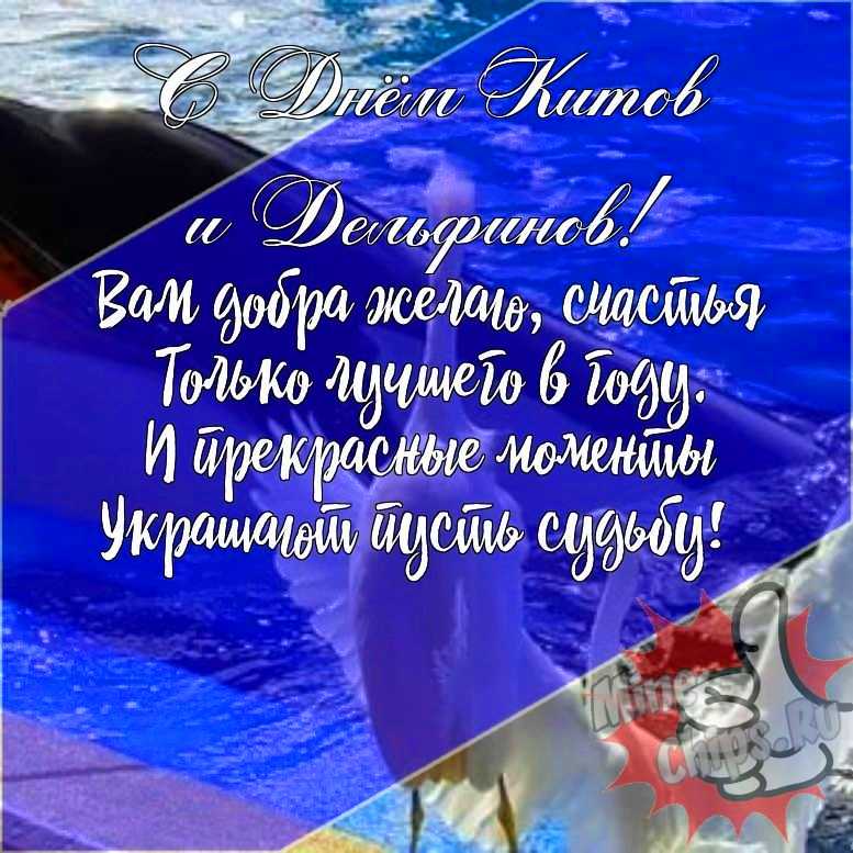 Подарить прикольную открытку с днем китов и дельфинов онлайн