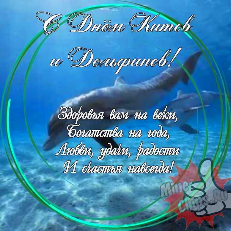 Праздничная, прикольная, яркая открытка с днем китов и дельфинов 