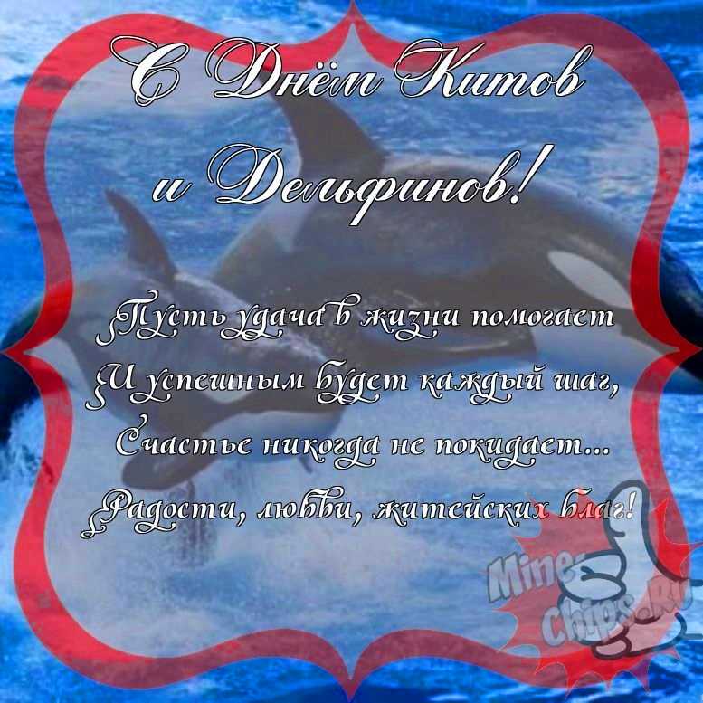 Поздравить с днем китов и дельфинов прикольно и своими словами 
