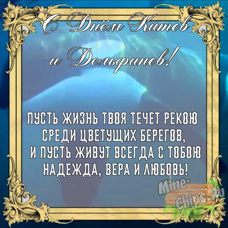 Бесплатно сохранить открытку на день китов и дельфинов своими словами