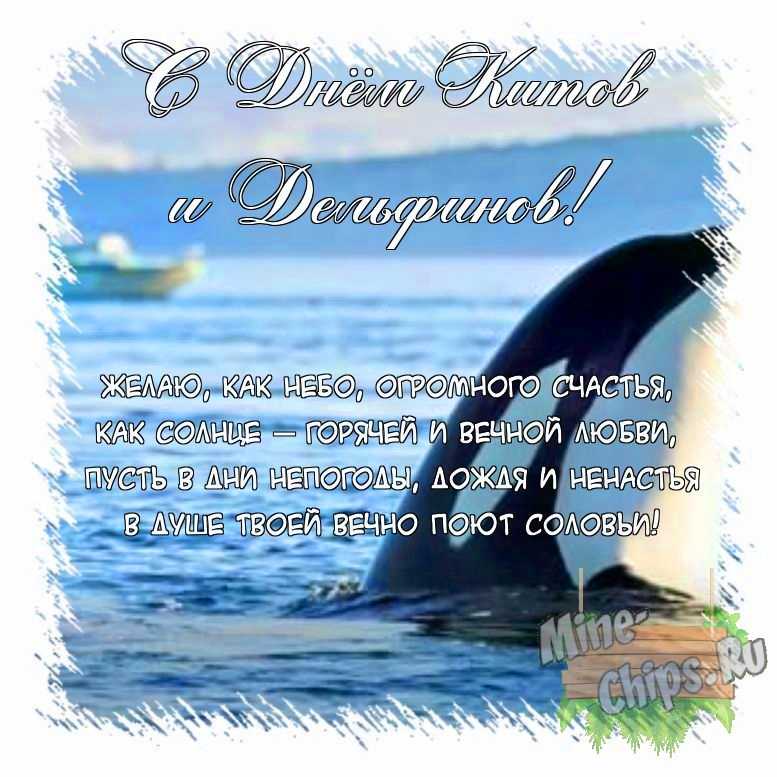 Поздравить открыткой с поздравлениями от себя своими словами на день китов и дельфинов