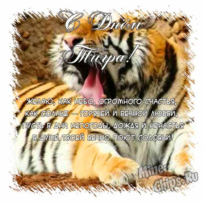 Поздравить открыткой со стихами на день тигра