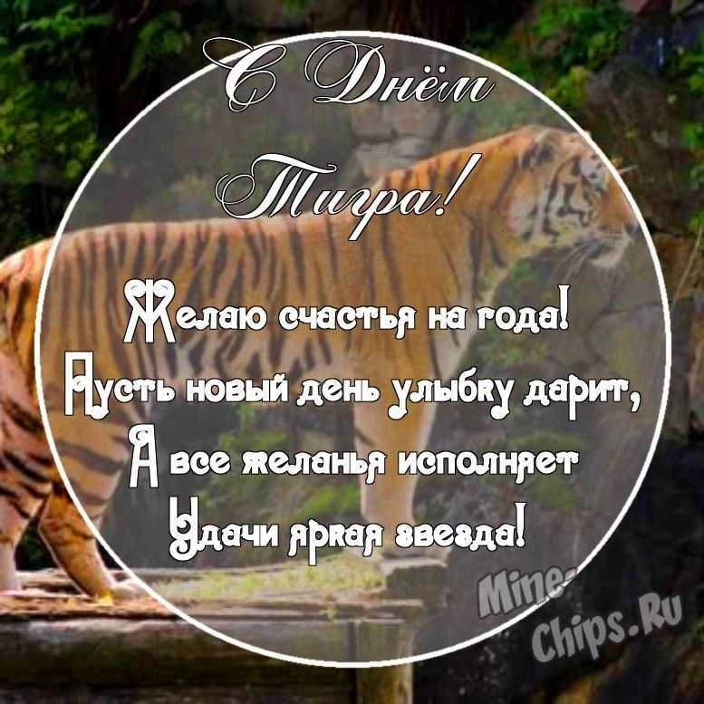 Картинка с поздравительными словами в честь дня тигра