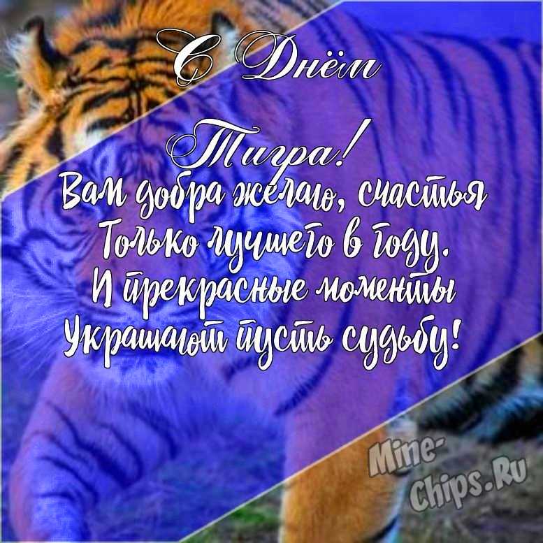 Подарить открытку с днем тигра онлайн