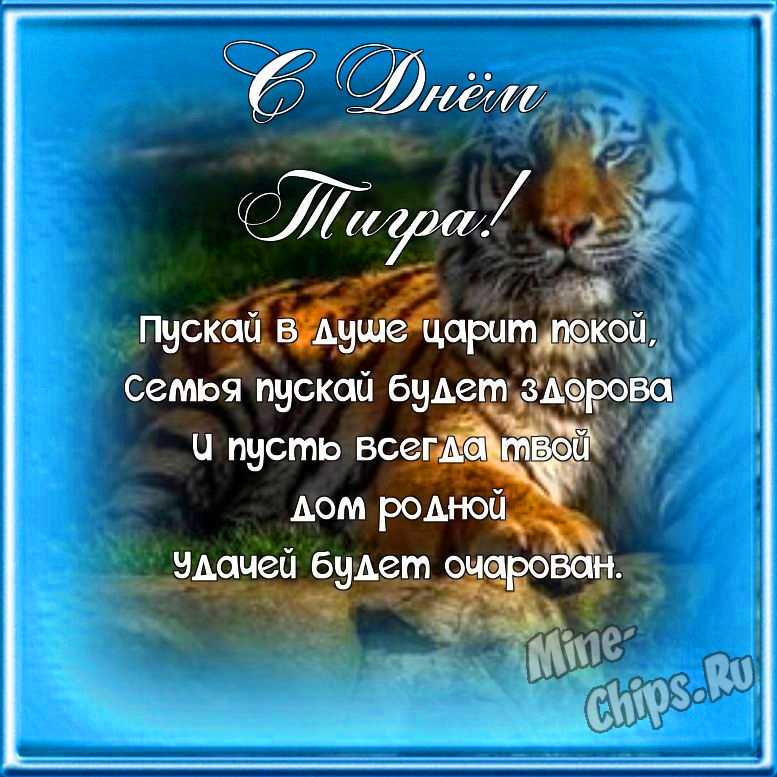 Поздравляем с днем тигра, открытка
