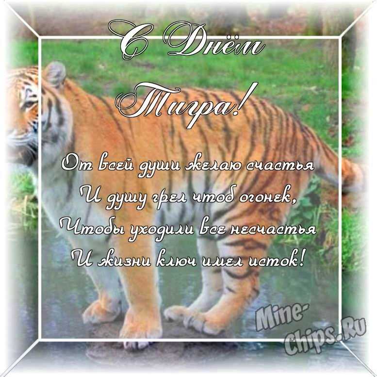 Оригинальное изображение ко дню тигра в цветочной рамке