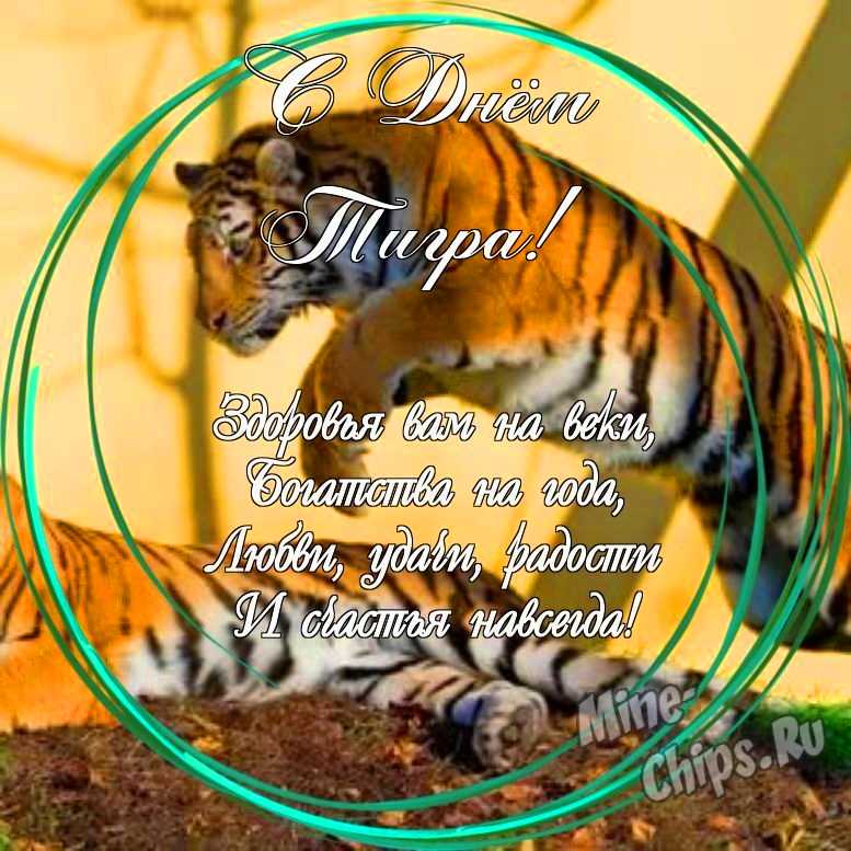 Праздничная открытка с днем тигра