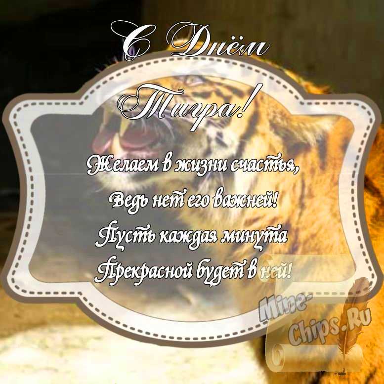 Картинка на день тигра стихами с красивой рамкой