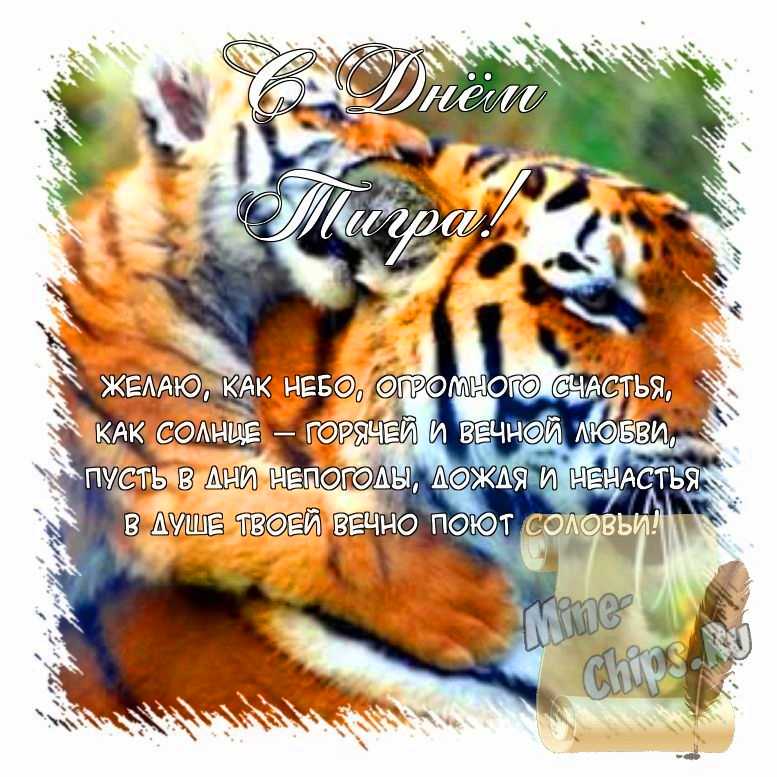 Поздравить открыткой с красивыми пожеланиями в стихах на день тигра