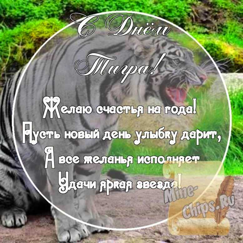 Картинка с поздравительными словами в честь дня тигра стихами