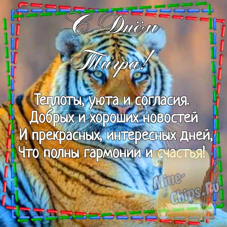 Картинка для поздравления с днем тигра, стихи