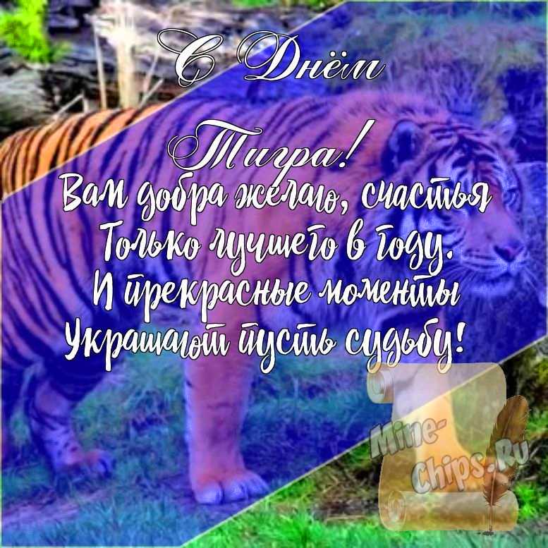 Подарить открытку с днем тигра, стихи онлайн