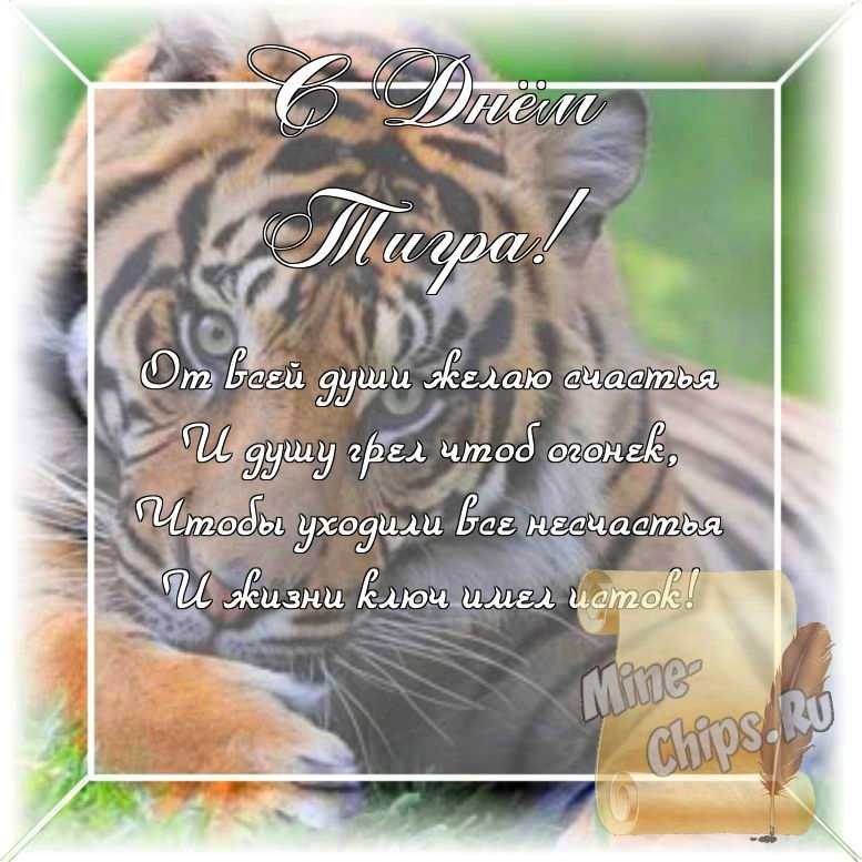 Оригинальное изображение, стихи ко дню тигра в цветочной рамке