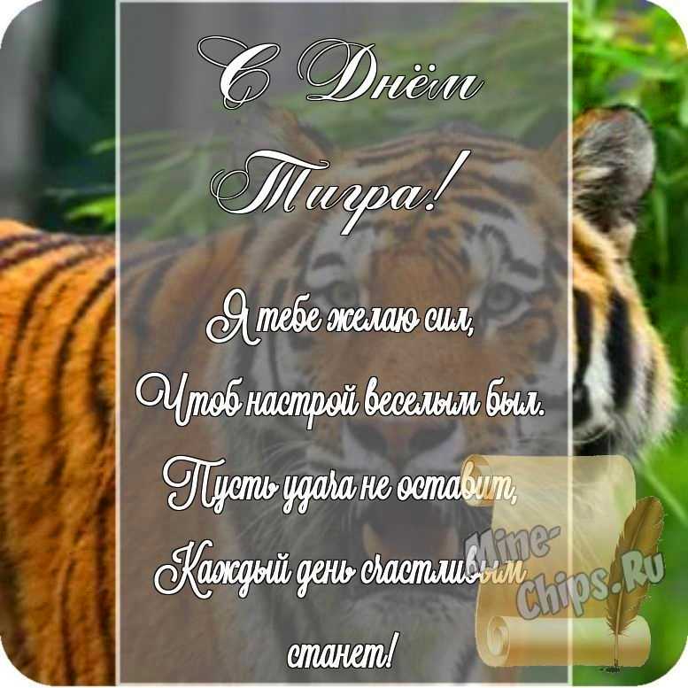 Открытка в честь дня тигра на прекрасном фоне стихами