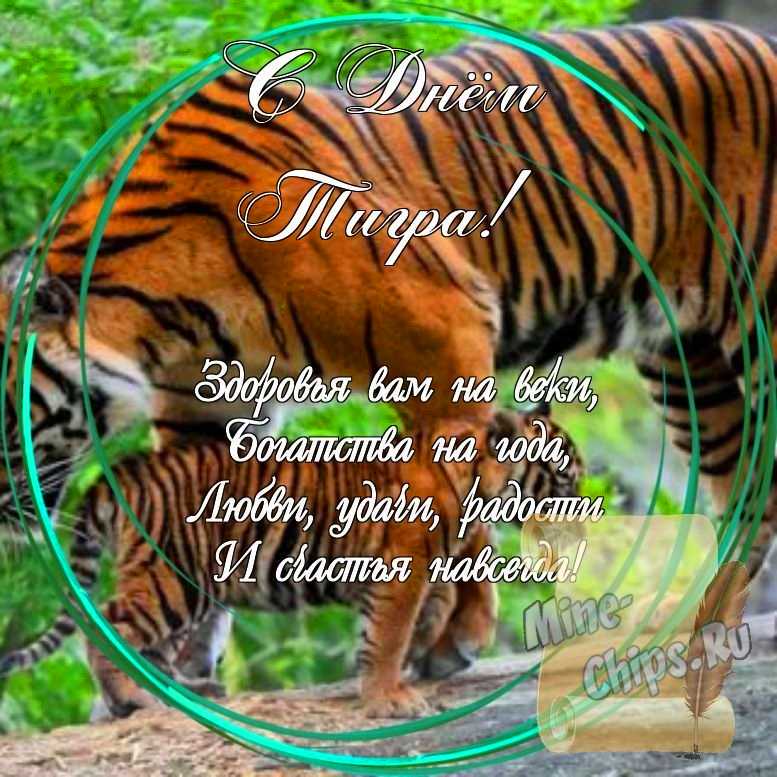 Праздничная, яркая открытка с днем тигра со стихами