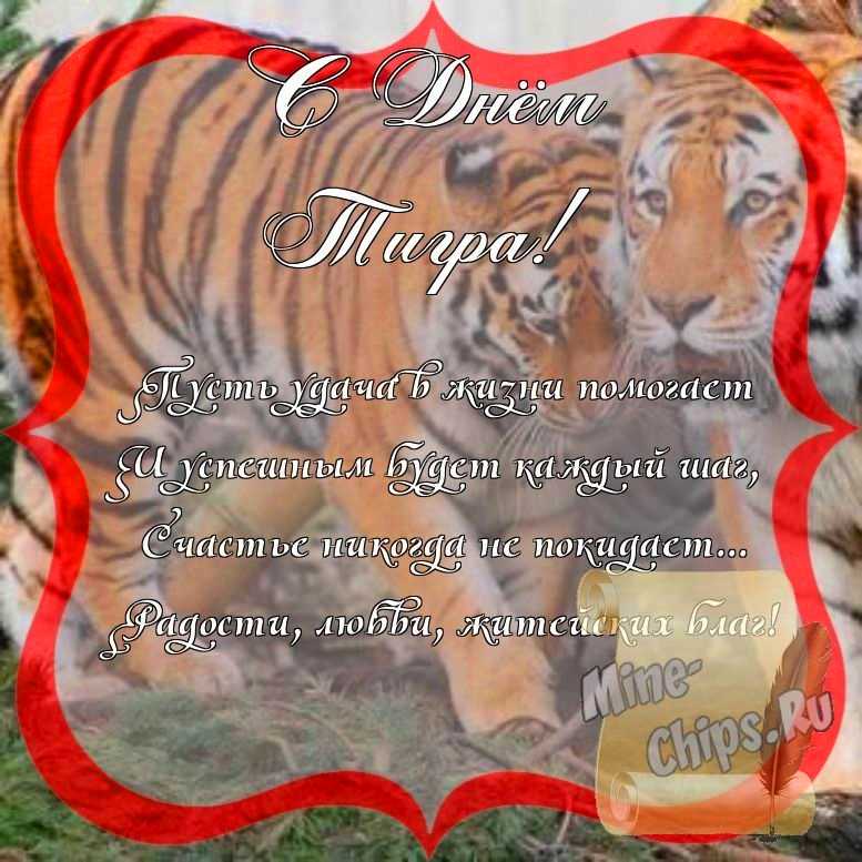 Поздравить с днем тигра стихами 