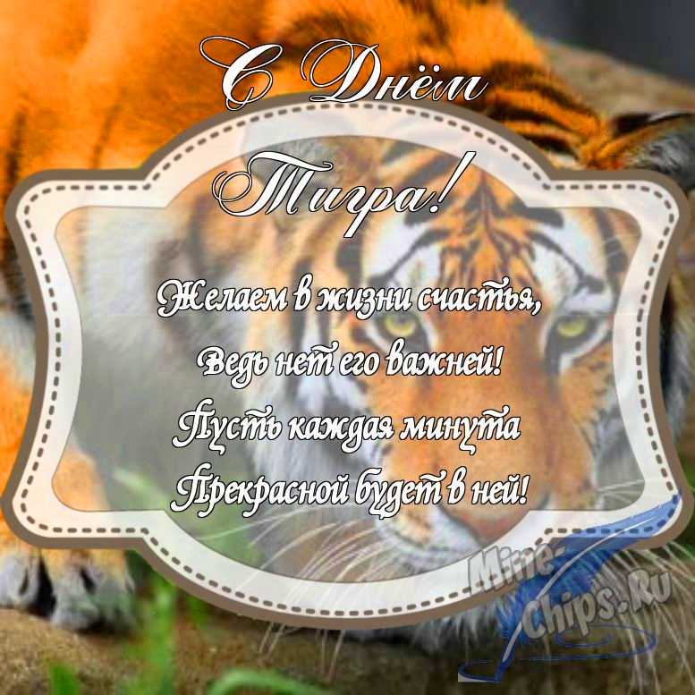 Картинка с поздравлением в прозе на день тигра с красивой рамкой