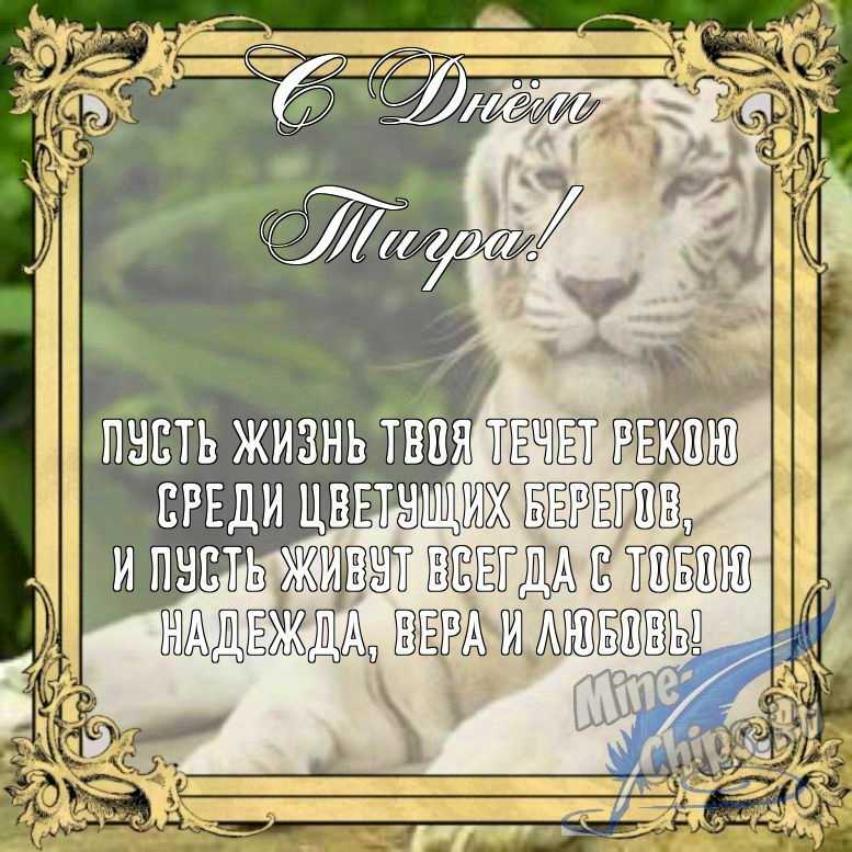 Бесплатно сохранить открытку на день тигра в прозе