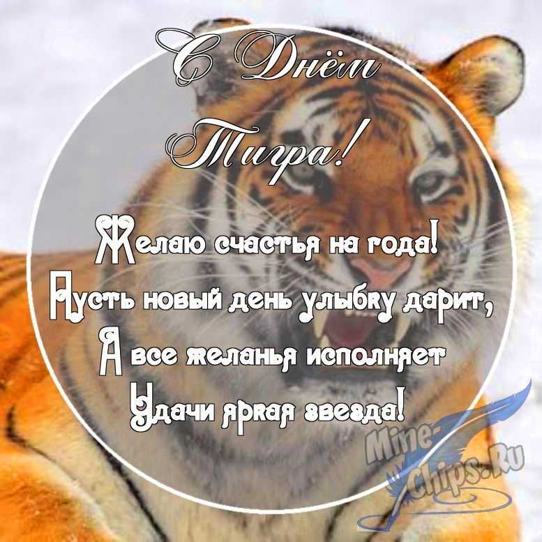 Картинка с поздравительными словами в честь дня тигра, проза
