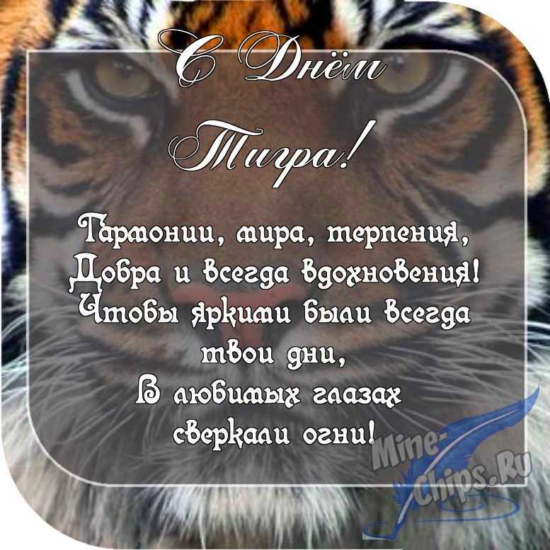 Картинка с пожеланием ко дню тигра в прозе 