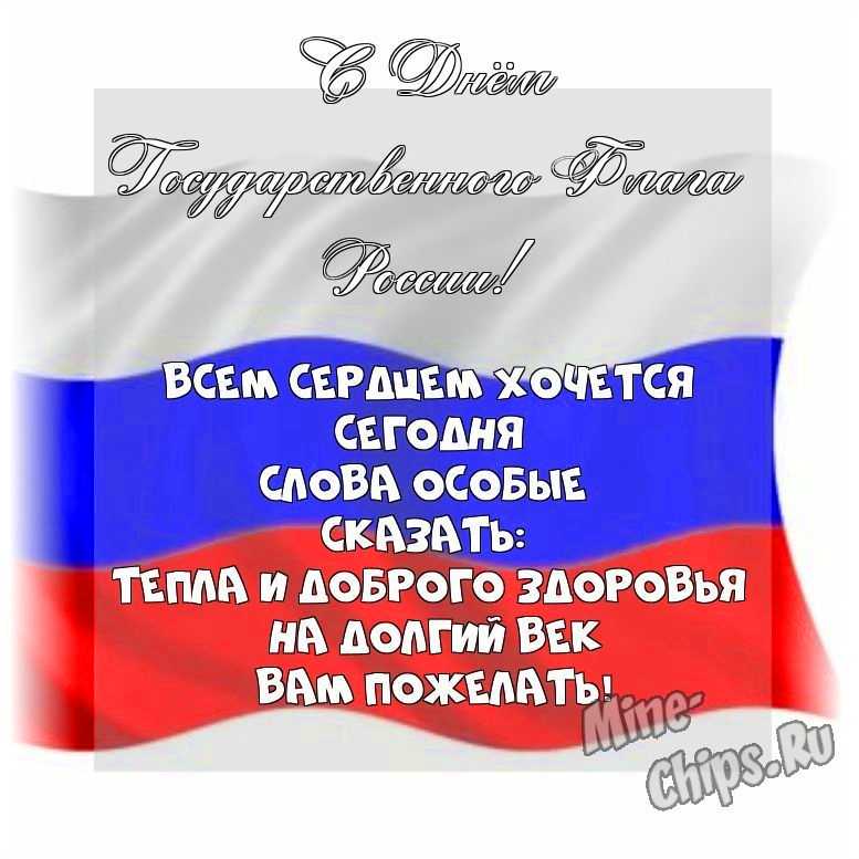 Весёлая картинка в день государственного флага России