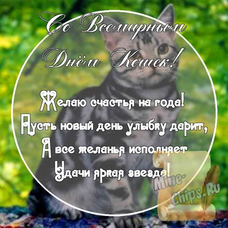 Картинка с поздравительными словами в честь дня кошек стихами