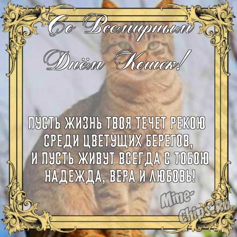 Бесплатно сохранить открытку на день кошек