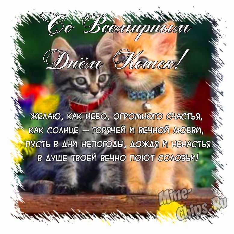 Поздравить открыткой со стихами на день кошек