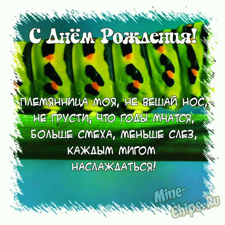 Короткие поздравления с днем рождения племяннице своими словами