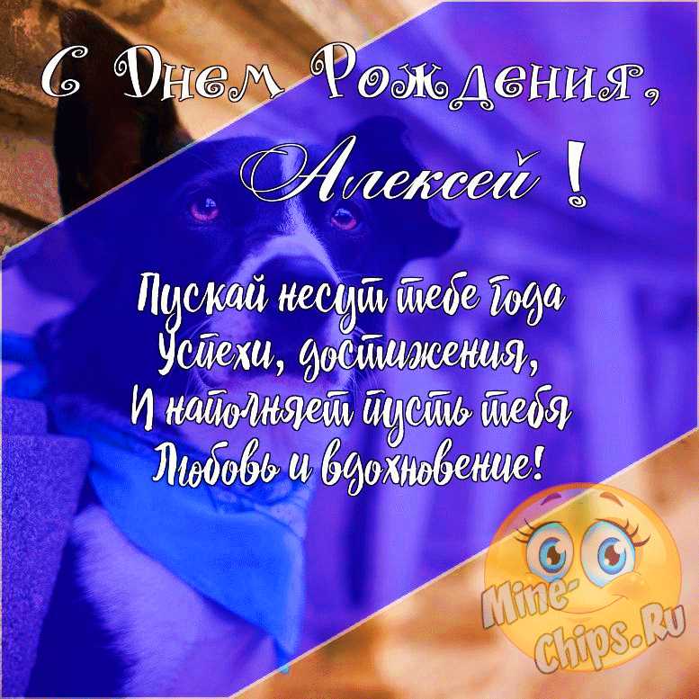Подарить прикольную открытку с днём рождения Алексею онлайн