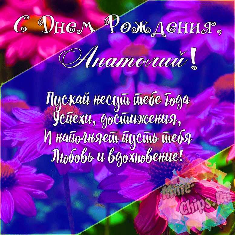 Подарить красивую открытку с днём рождения Анатолию онлайн