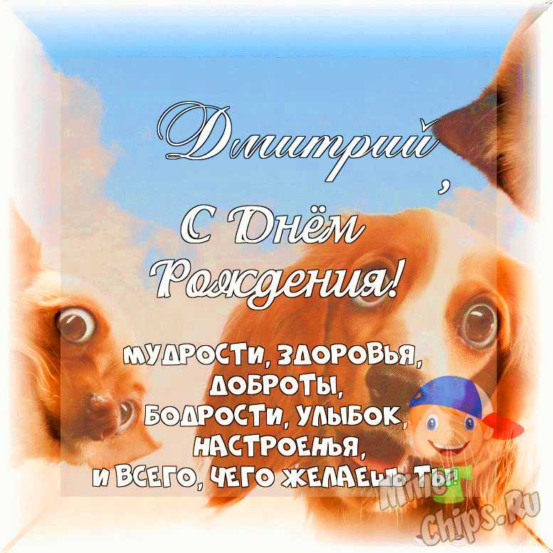 Весёлый текст для мальчика Дмитрия в день рождения