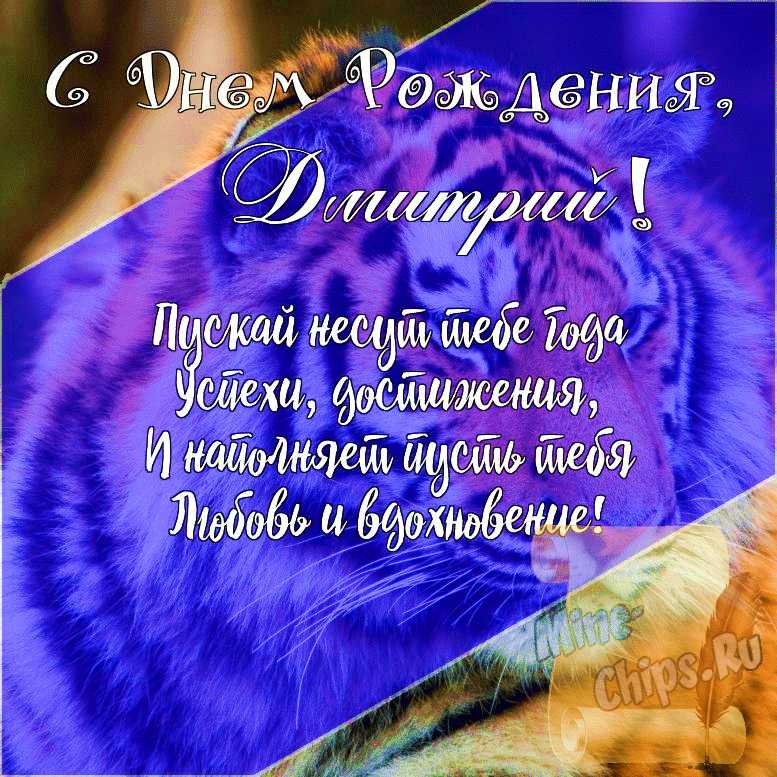Подарить открытку с днём рождения Дмитрию своими словами онлайн