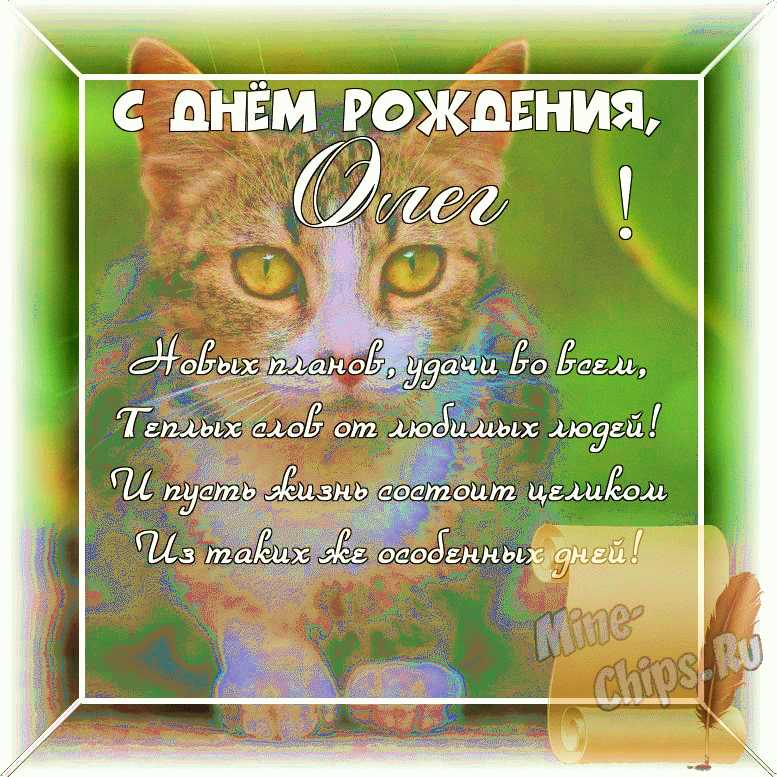 Оригинальное изображение Олегу, стихи к его дню рождения в цветочной рамке